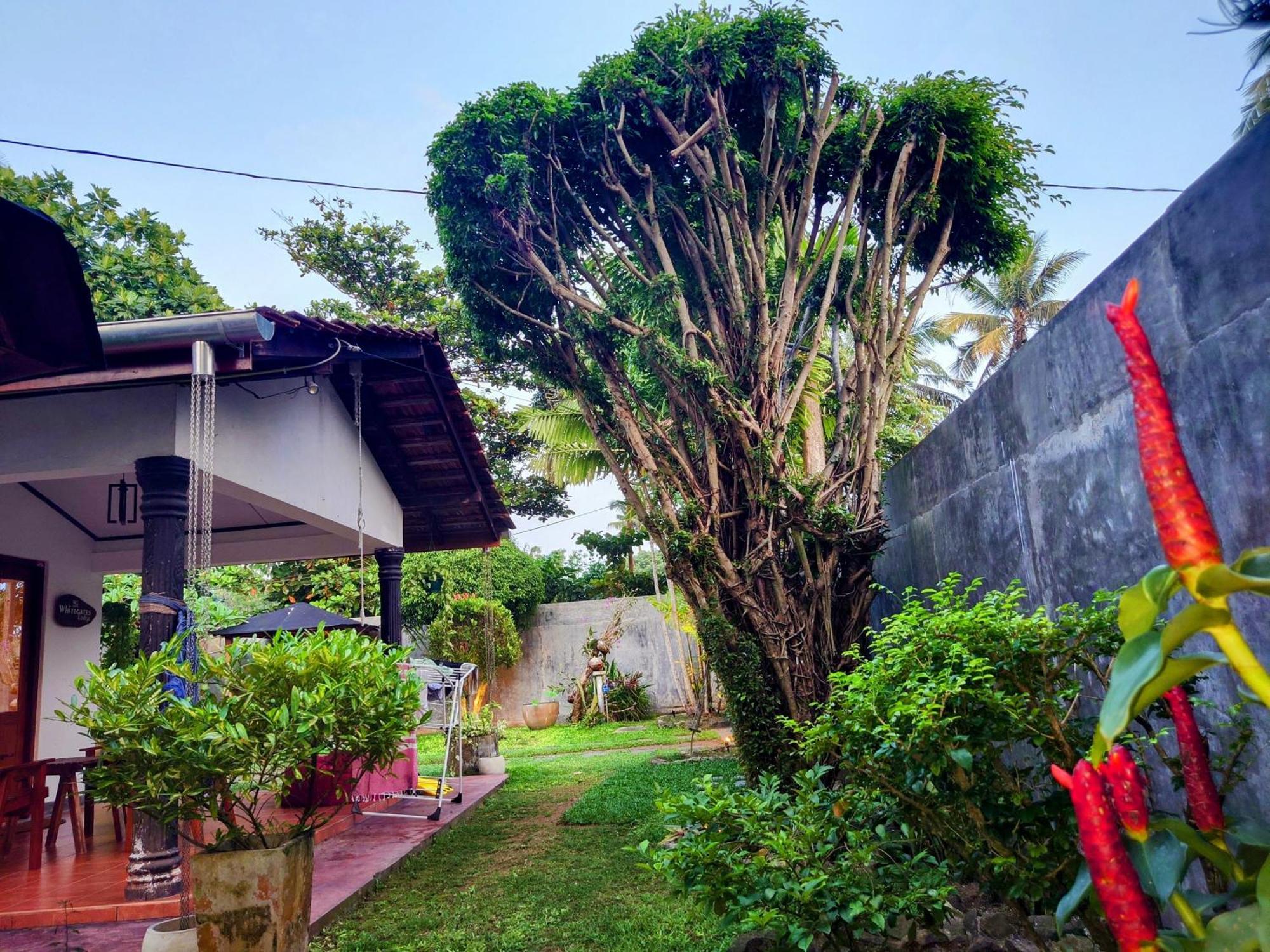 The Whitegates Lodge Weligama